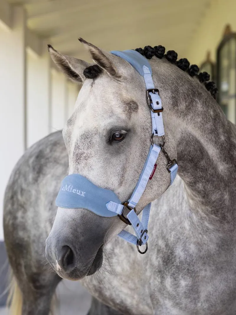 LeMieux Vogue Headcollar and Leadrope Mist-1